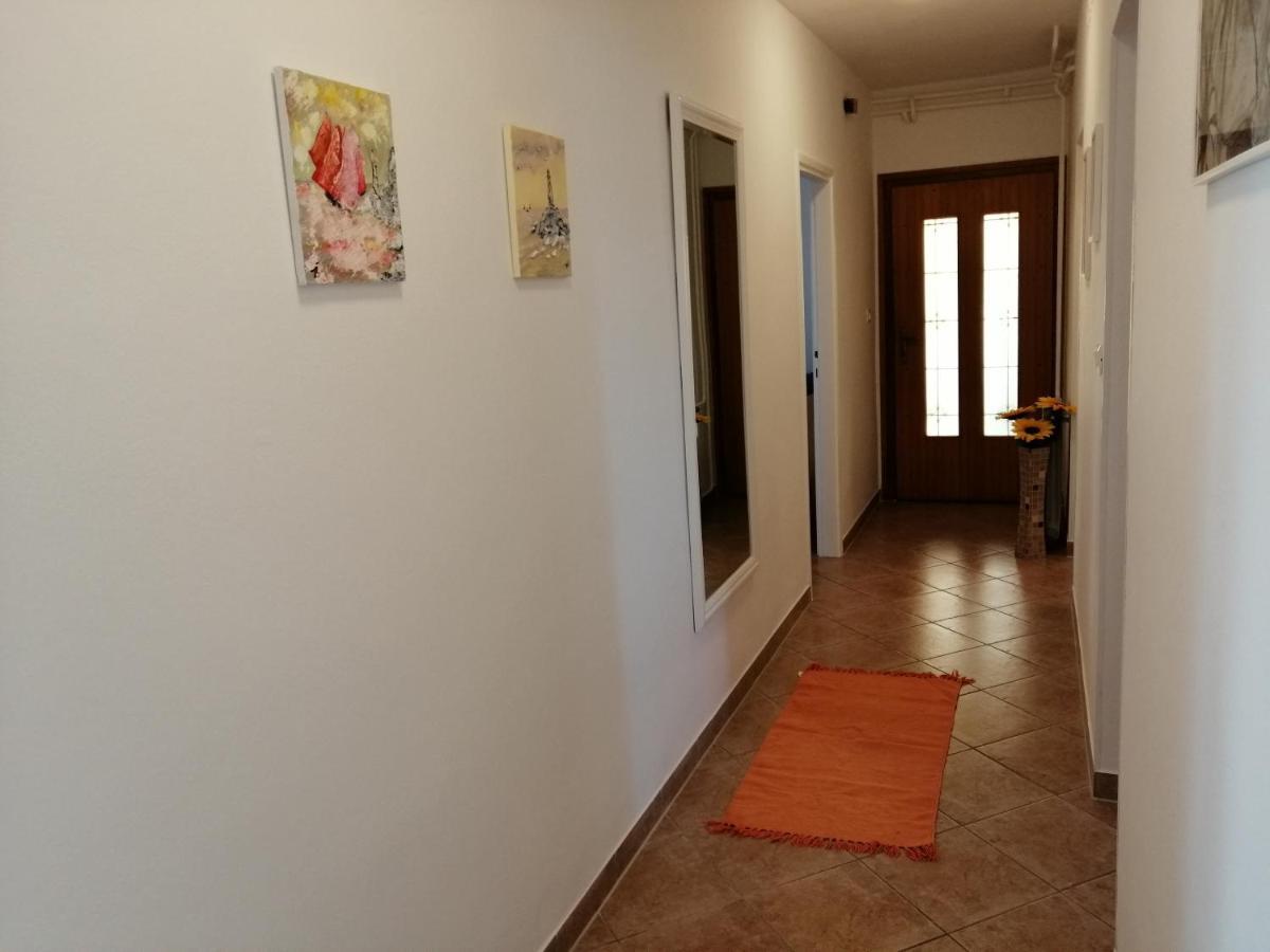 Apartmani Darko 로비니 외부 사진