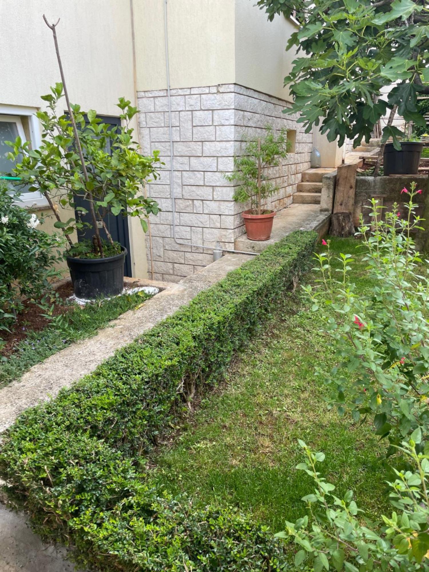 Apartmani Darko 로비니 외부 사진